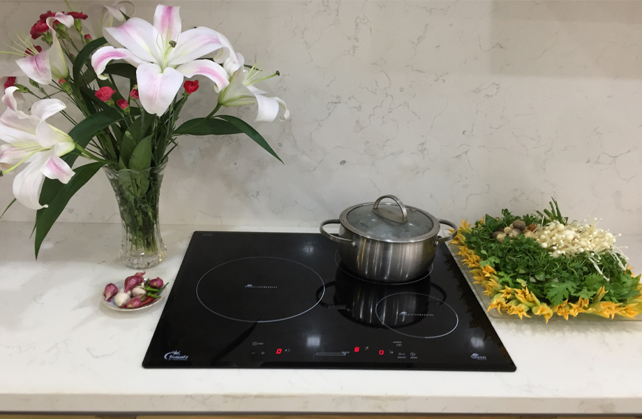 Bếp từ TOM 03IS-8G