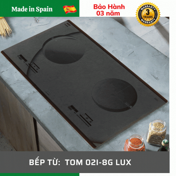 Bếp từ TOM 02I-8G LUX