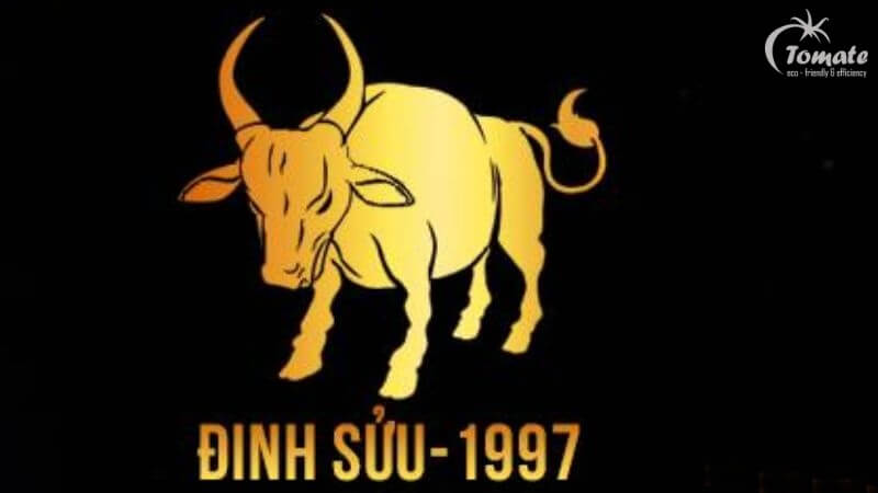 Phong thủy hướng bếp tuổi Đinh Sửu