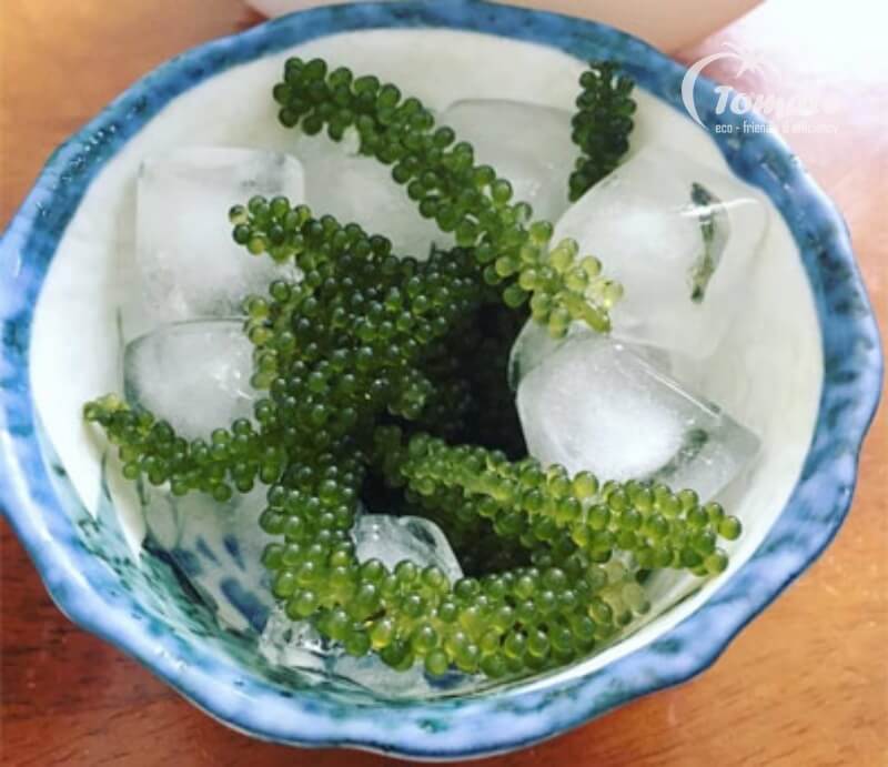 Cách sơ chế rong nho giòn ngon