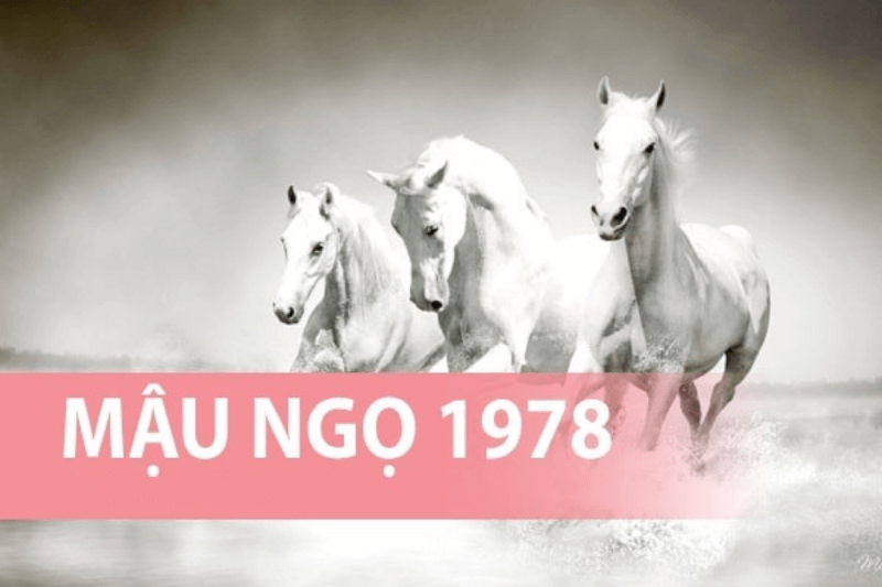 hướng bếp tuổi Ngọ 1978