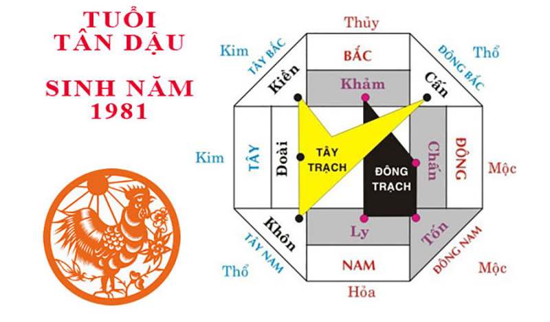 hướng bếp tuổi Tân Dậu nữ mạng