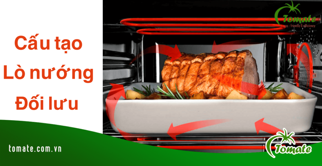 cấu tạo lò nướng đối lưu