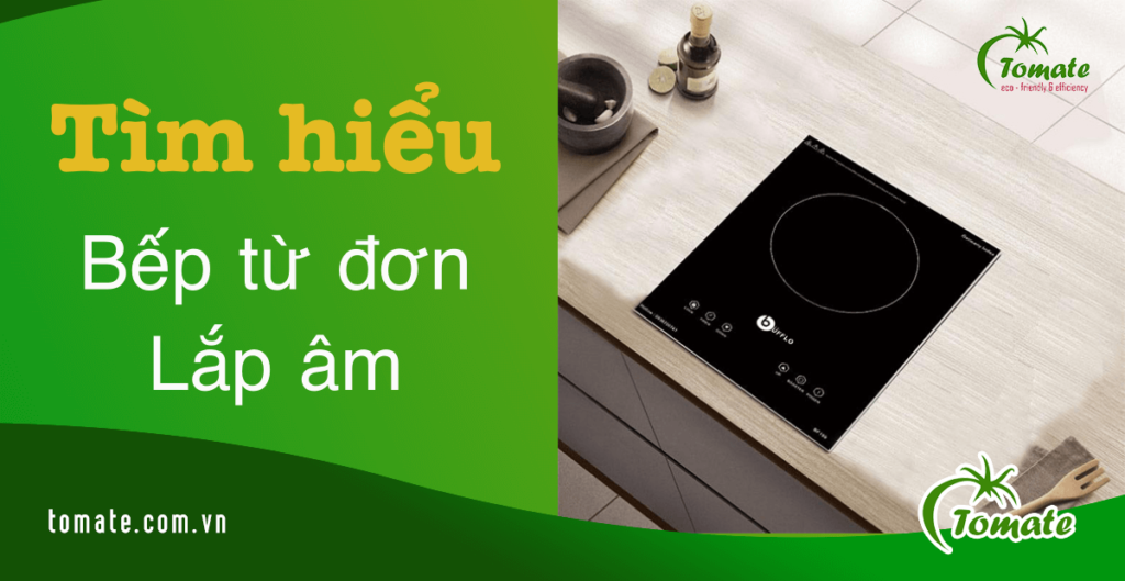 bếp từ đơn lắp âm